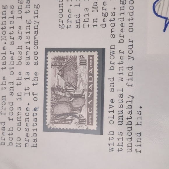 Gray Jay Canada Stamps Collection - Picture 3 of 4